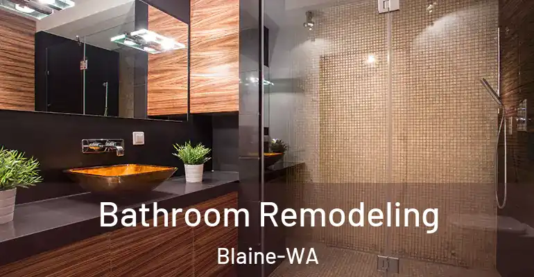 inner Bathroom imggen Bathroom Remodeling Blaine-WA