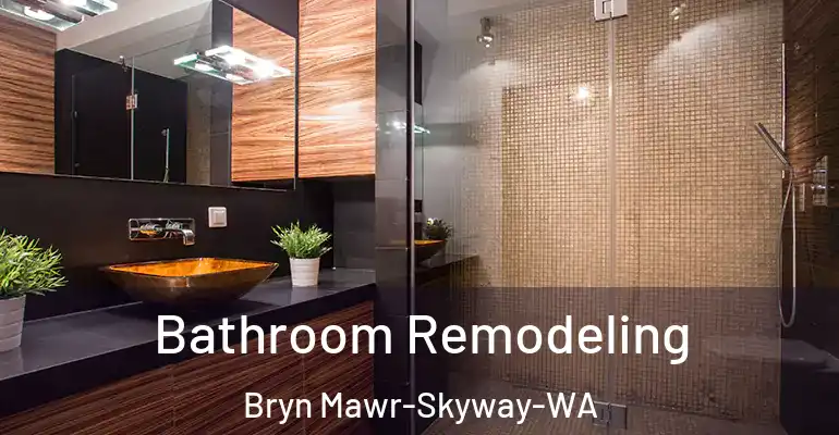 inner Bathroom imggen Bathroom Remodeling Bryn Mawr-Skyway-WA