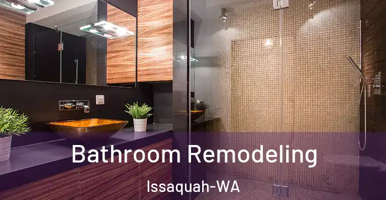 inner Bathroom imggen Bathroom Remodeling Issaquah-WA
