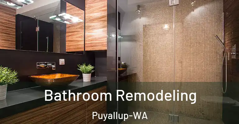 inner Bathroom imggen Bathroom Remodeling Puyallup-WA