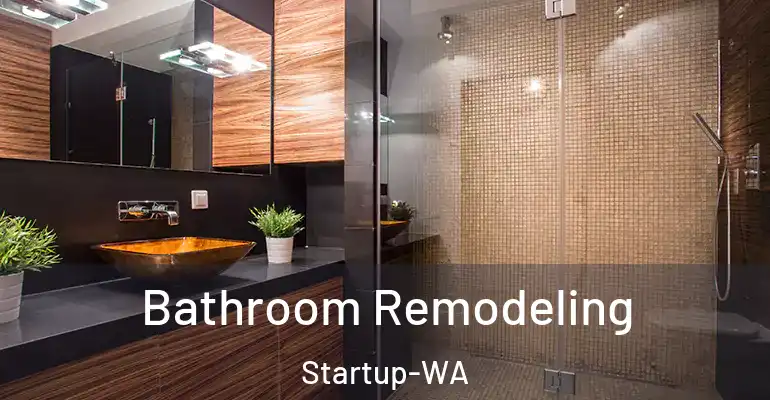 inner Bathroom imggen Bathroom Remodeling Startup-WA