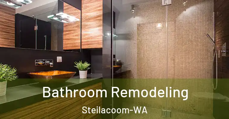inner Bathroom imggen Bathroom Remodeling Steilacoom-WA