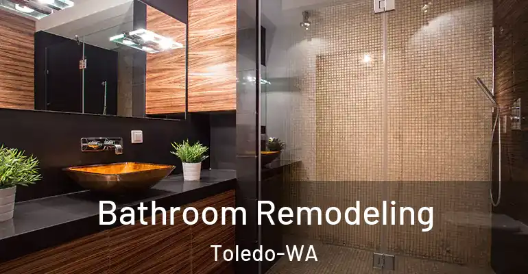 inner Bathroom imggen Bathroom Remodeling Toledo-WA