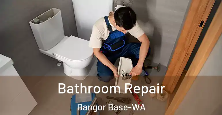 inner Bathroom imggen Bathroom Repair Bangor Base-WA