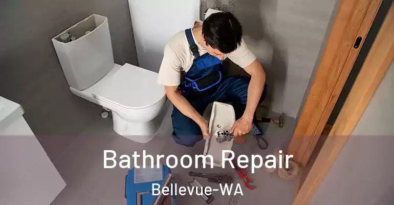 inner Bathroom imggen Bathroom Repair Bellevue-WA