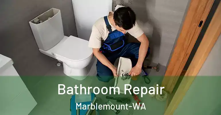 inner Bathroom imggen Bathroom Repair Marblemount-WA