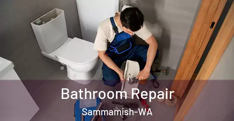 inner Bathroom imggen Bathroom Repair Sammamish-WA