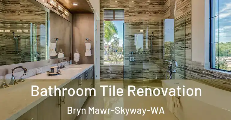 inner Bathroom imggen Bathroom Tile Renovation Bryn Mawr-Skyway-WA