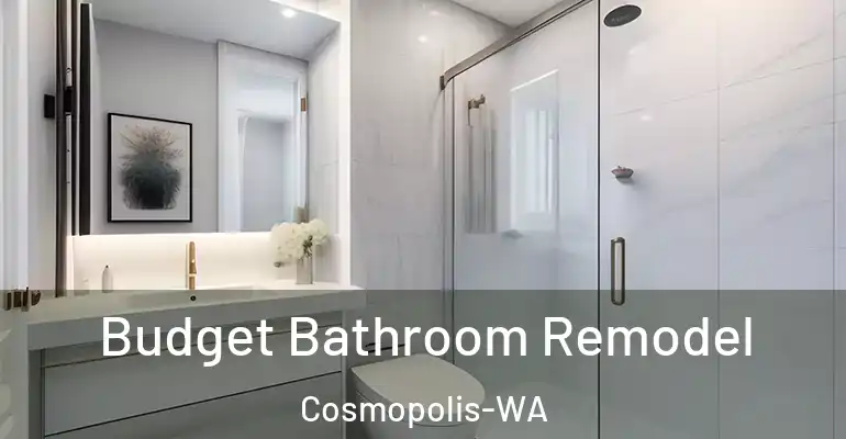 inner Bathroom imggen Budget Bathroom Remodel Cosmopolis-WA