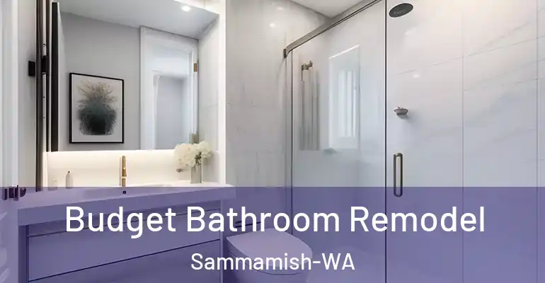 inner Bathroom imggen Budget Bathroom Remodel Sammamish-WA