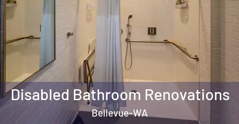 inner Bathroom imggen Disabled Bathroom Renovations Bellevue-WA