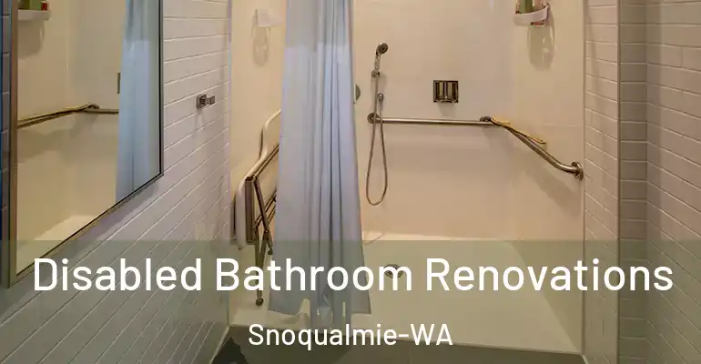 inner Bathroom imggen Disabled Bathroom Renovations Snoqualmie-WA