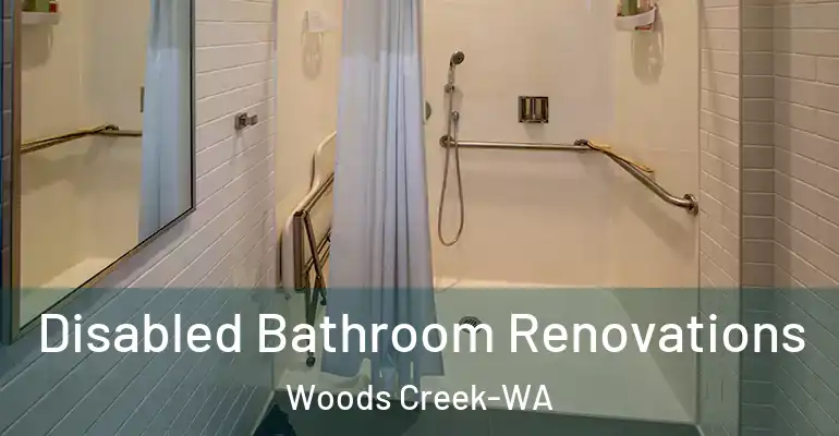 inner Bathroom imggen Disabled Bathroom Renovations Woods Creek-WA