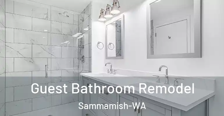 inner Bathroom imggen Guest Bathroom Remodel Sammamish-WA