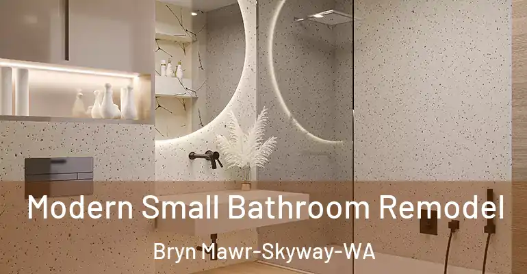 inner Bathroom imggen Modern Small Bathroom Remodel Bryn Mawr-Skyway-WA