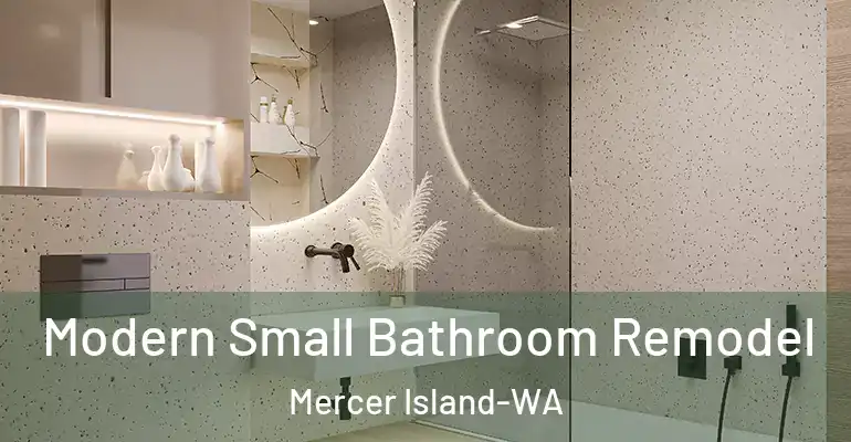 inner Bathroom imggen Modern Small Bathroom Remodel Mercer Island-WA