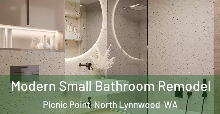 inner Bathroom imggen Modern Small Bathroom Remodel Picnic Point-North Lynnwood-WA