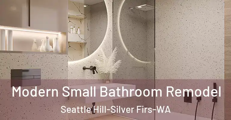 inner Bathroom imggen Modern Small Bathroom Remodel Seattle Hill-Silver Firs-WA