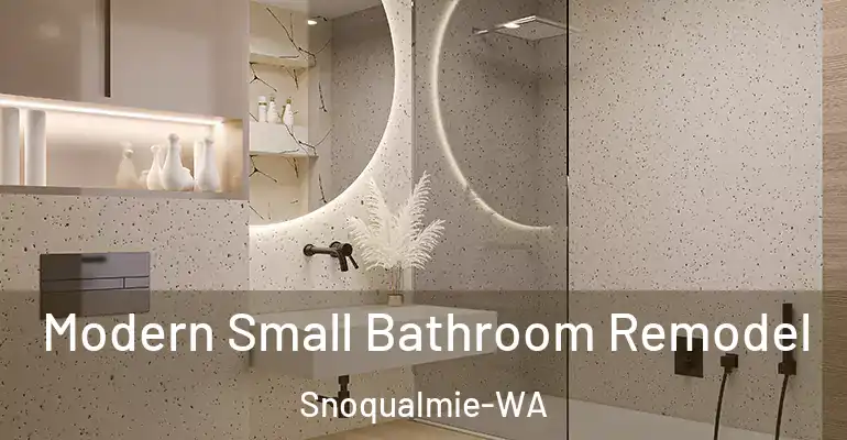 inner Bathroom imggen Modern Small Bathroom Remodel Snoqualmie-WA