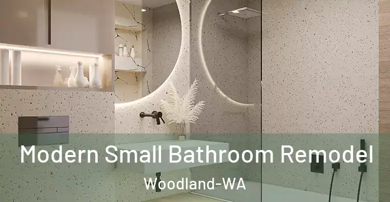 inner Bathroom imggen Modern Small Bathroom Remodel Woodland-WA