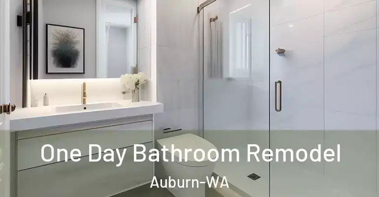inner Bathroom imggen One Day Bathroom Remodel Auburn-WA