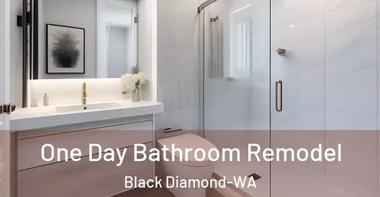 inner Bathroom imggen One Day Bathroom Remodel Black Diamond-WA