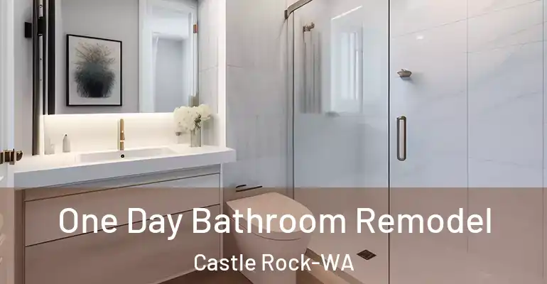 inner Bathroom imggen One Day Bathroom Remodel Castle Rock-WA
