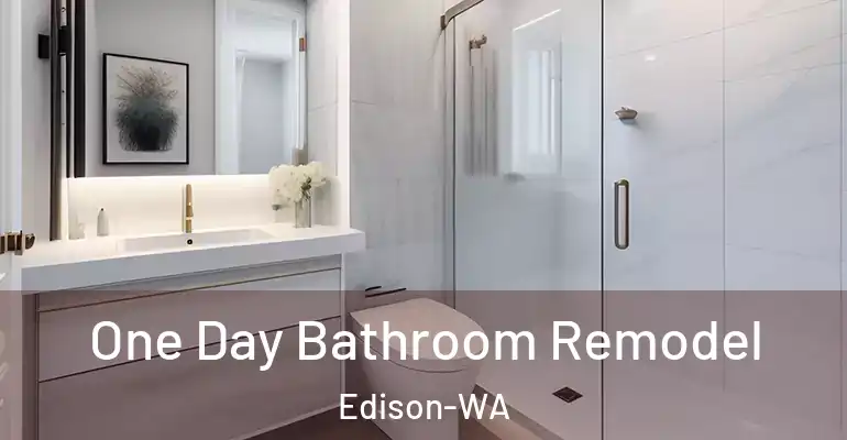 inner Bathroom imggen One Day Bathroom Remodel Edison-WA