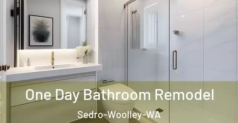 inner Bathroom imggen One Day Bathroom Remodel Sedro-Woolley-WA