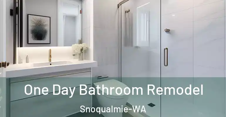inner Bathroom imggen One Day Bathroom Remodel Snoqualmie-WA