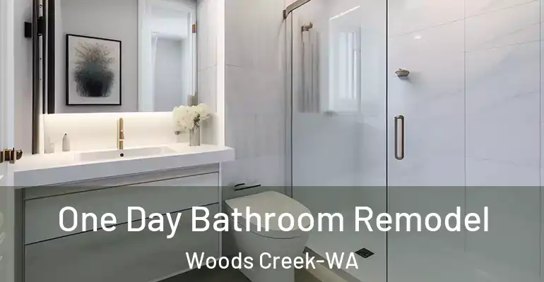 inner Bathroom imggen One Day Bathroom Remodel Woods Creek-WA