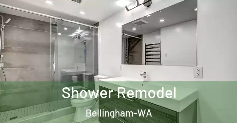 inner Bathroom imggen Shower Remodel Bellingham-WA