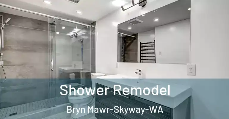inner Bathroom imggen Shower Remodel Bryn Mawr-Skyway-WA