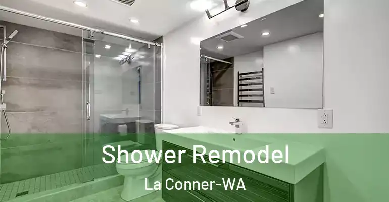 inner Bathroom imggen Shower Remodel La Conner-WA
