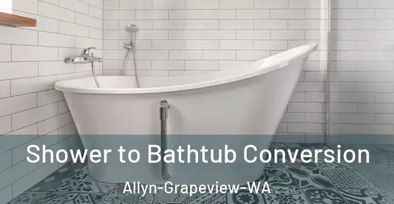 inner Bathroom imggen Shower to Bathtub Conversion Allyn-Grapeview-WA