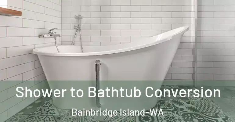 inner Bathroom imggen Shower to Bathtub Conversion Bainbridge Island-WA
