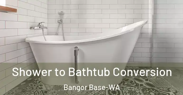 inner Bathroom imggen Shower to Bathtub Conversion Bangor Base-WA
