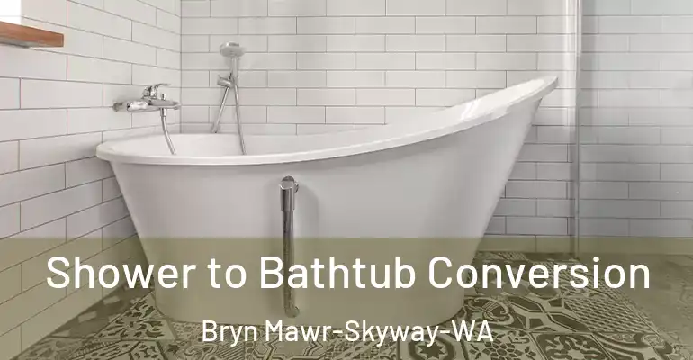 inner Bathroom imggen Shower to Bathtub Conversion Bryn Mawr-Skyway-WA