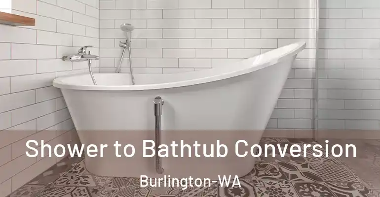 inner Bathroom imggen Shower to Bathtub Conversion Burlington-WA