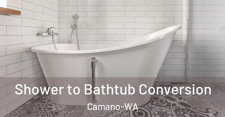 inner Bathroom imggen Shower to Bathtub Conversion Camano-WA