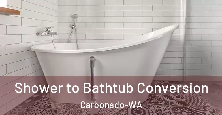 inner Bathroom imggen Shower to Bathtub Conversion Carbonado-WA