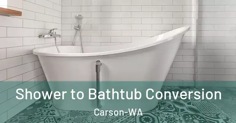 inner Bathroom imggen Shower to Bathtub Conversion Carson-WA
