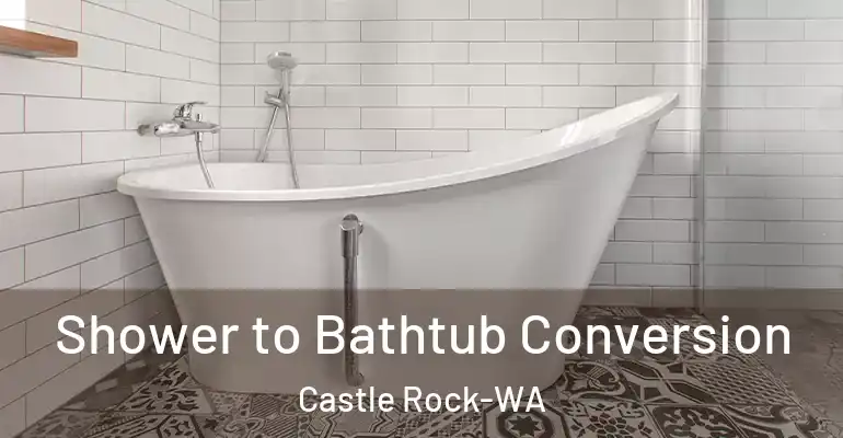inner Bathroom imggen Shower to Bathtub Conversion Castle Rock-WA
