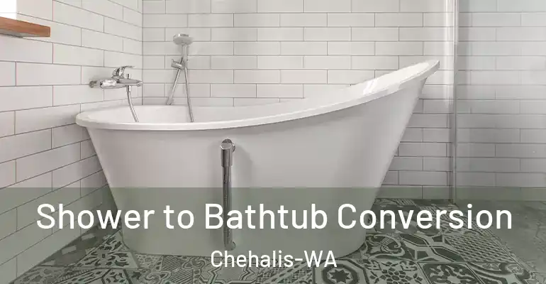 inner Bathroom imggen Shower to Bathtub Conversion Chehalis-WA