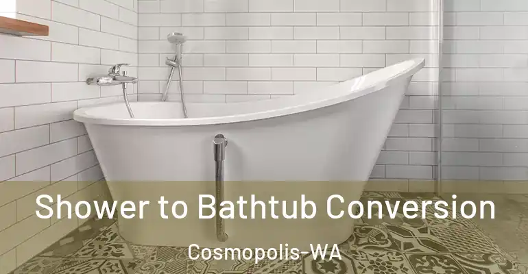 inner Bathroom imggen Shower to Bathtub Conversion Cosmopolis-WA