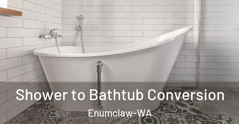 inner Bathroom imggen Shower to Bathtub Conversion Enumclaw-WA
