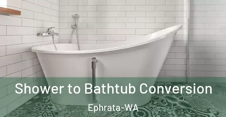 inner Bathroom imggen Shower to Bathtub Conversion Ephrata-WA