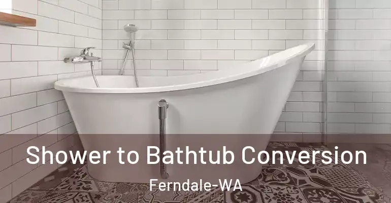 inner Bathroom imggen Shower to Bathtub Conversion Ferndale-WA