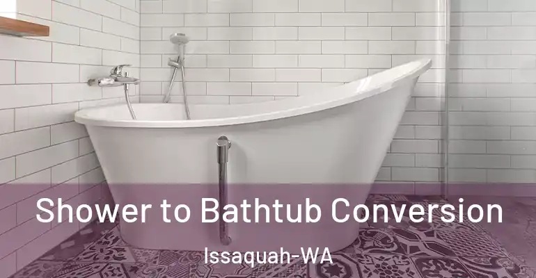 inner Bathroom imggen Shower to Bathtub Conversion Issaquah-WA