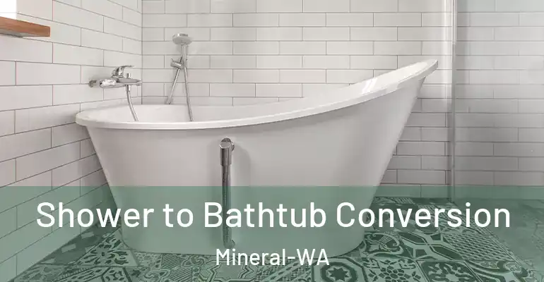 inner Bathroom imggen Shower to Bathtub Conversion Mineral-WA